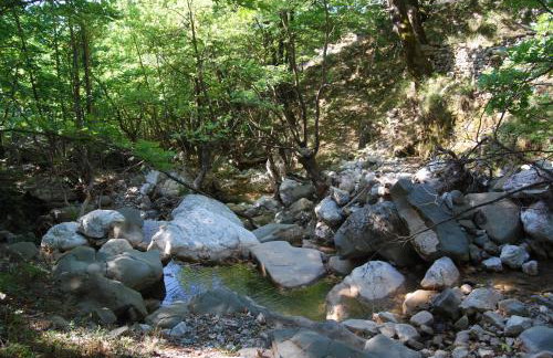 Dryades Guesthouse - Foto 31