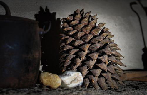 Casa Das Videiras - Foto 32