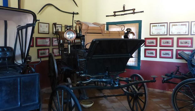 Jerez Horses and Wines - Photo 3