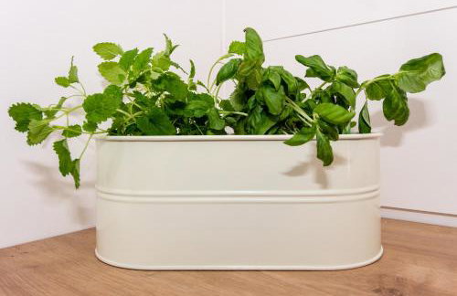 Apartment One - Foto 9