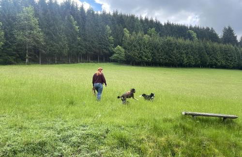 Morgensonne - Foto 24