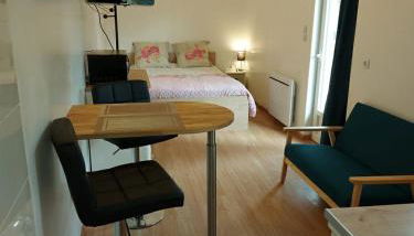 studio au calme wifi 600m centre ville parking privé - Photo 3