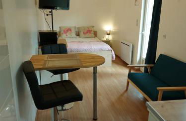 studio au calme wifi 600m centre ville parking privé - Photo 3