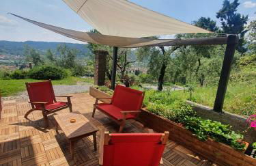 Agriturismo Podere Nigriano - Foto 44