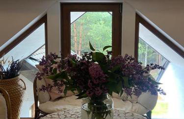 Agroturystyka Kruszyna - Foto 10