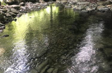 Casa nel bosco, Appennino Tosco Emiliano - Foto 49