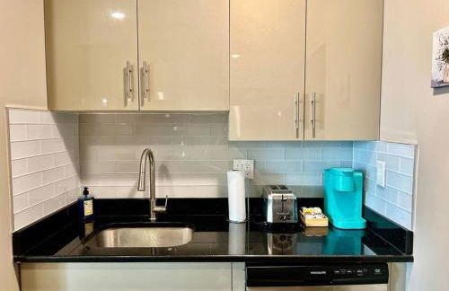 404 Rose in the city 1 BD living room in center city - Foto 35