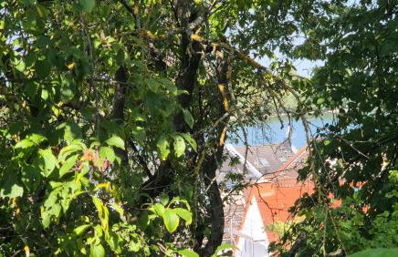 Volkspark-3-Zimmer-Wohnung-4 Betten-Mainz - Photo 6