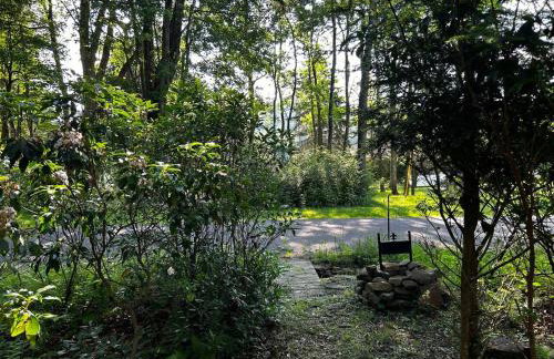 Country Roads take me home - Foto 33