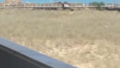 Alvor Beach Front Line Bay - Photo 5