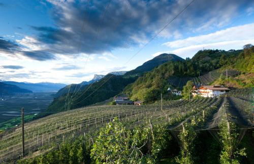 Appartements Kirchtalhof - Photo 47