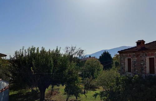 VILLA KATERINA - Foto 9