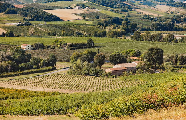 Corte San Ruffillo-Azienda Agrituristica - Foto 58