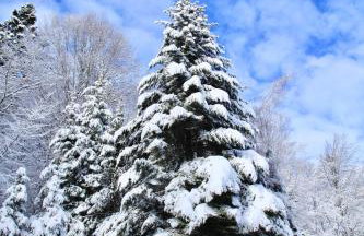 Komfortowy Dom w Chmurach - Foto 66