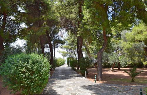 Seaside Villa in Alikes, Chalkida - Foto 26