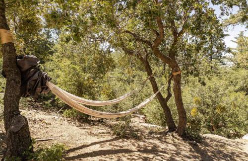 Dog Friendly A-frame Hot Tub Nature Views - Foto 22