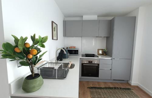 Snuggle Inn - Riverside Apartments - Views Over looking London River Thames, Close to O2 Arena, London Excel, London City Airport, Thames Clipper- River Boat Service, Woolwich Ferry, Onsite parking, TWIN ROOM OPTION available - Foto 7