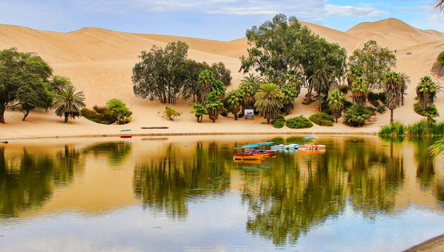Excursion à Ica et Huacachina + îles Ballestas