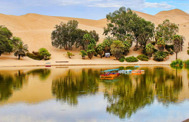 Excursión a Ica y Huacachina + Islas Ballestas - Foto 8