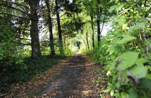 Bungalow in Waldbrunn - Foto 51