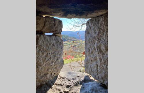 Villa Stanzietta Novigrad for 10 at Olive orchard - Foto 43