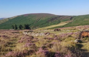 Couples Retreat in Beautiful West Devon Countryside - Foto 33