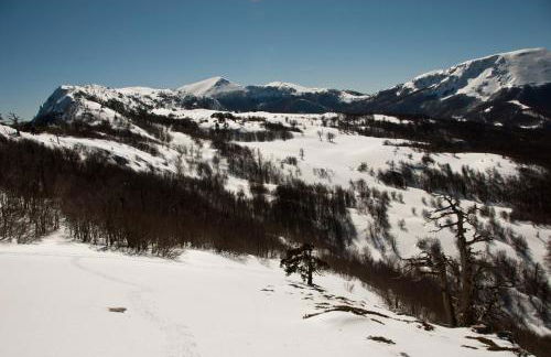 Tana Libera Tutti 3 Nature, Yourself, Love - Foto 43