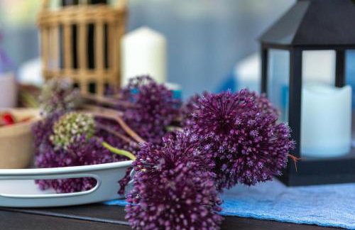 Apartment Vijula - central with private parking - Photo 11