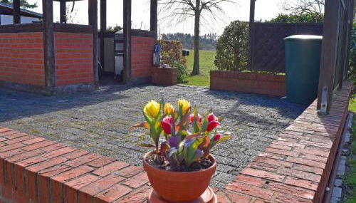 Ferien unterm Reetdach bis zu 6 Personen - Photo 4
