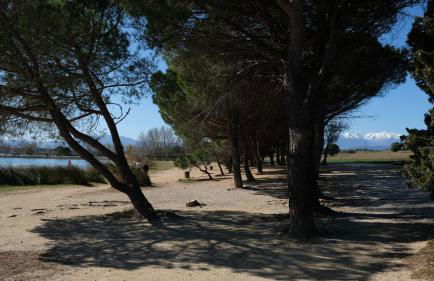 Bastide le Petit Clos - les 2 Gîtes - Foto 29