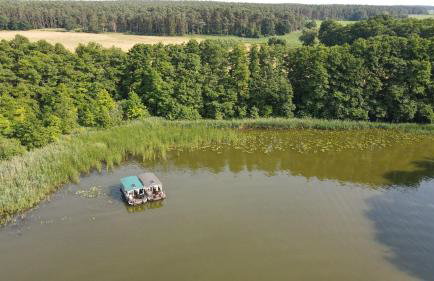 Floss Priepert 1 - Photo 37