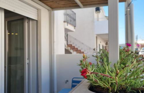 Azzurro Mare Aparthotel - Foto 16