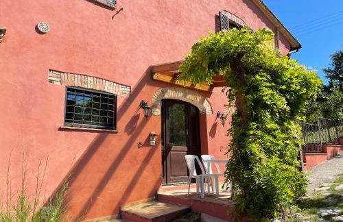 Tenuta San Savino delle Rocchette - Foto 18