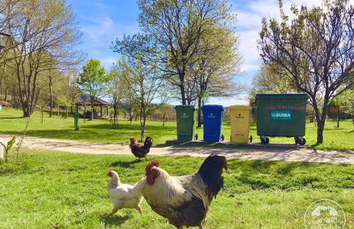 Casa 1 do Pavilhão da Prelada - Foto 39