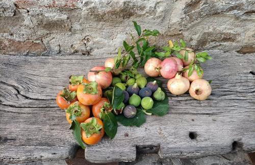 Rustic hillside stone-Rustico in pietra - Foto 34