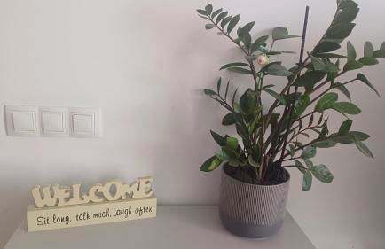 Modern house with 2 bedrooms near the beach - Foto 8