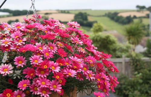 Linton Luxury Holiday Home - Foto 38