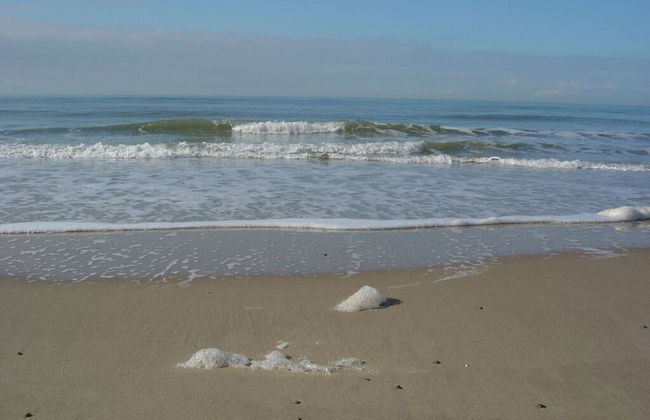 Schelphoekje Modern Retreat - Photo 15