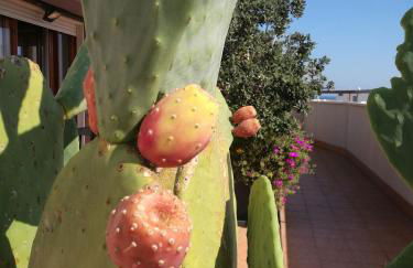 IsolaAzzurra - Foto 1