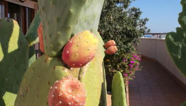 IsolaAzzurra - Foto 1