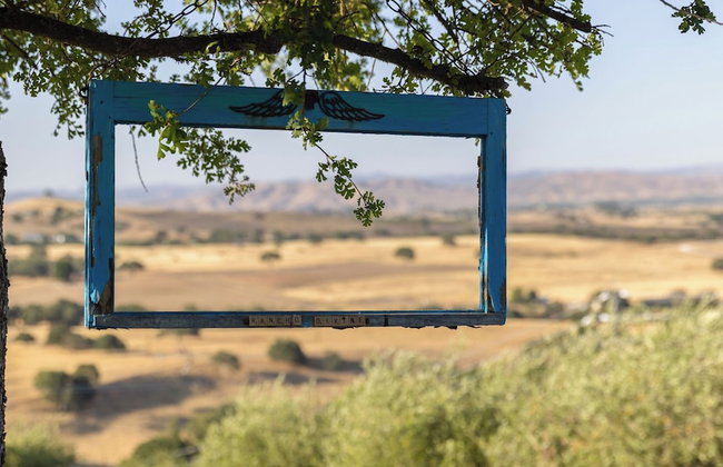 4.5 Acre Secluded Ranch w/ Panoramic Views Fire Pit Olive Ranch by Avantstay - Photo 124