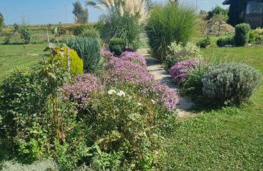 Apartmani Vinea Lana - Foto 22