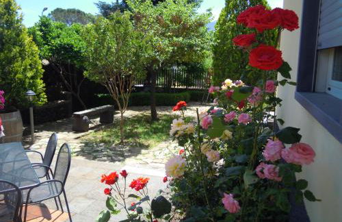 La Tavernetta - Foto 15