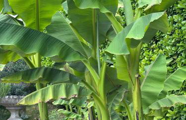 Apartman Perla - Foto 40