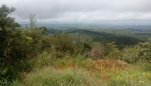 Parajes de la Serra Lisa