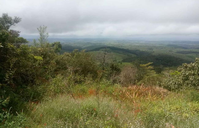 Excursión a Chã Preta y Serra Lisa - Foto 8