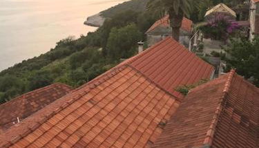 Captain Branko - Photo 4