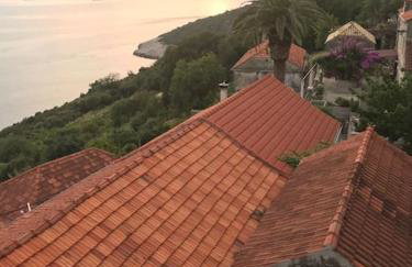 Captain Branko - Foto 4