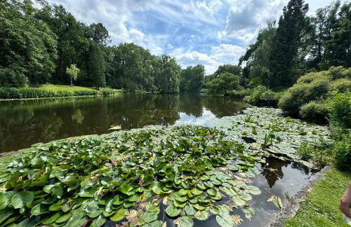 Tier- & kinderfreundliches Ferienhaus - KEINE MONTEURE - Foto 27