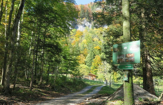 Nagelsmederij in het Huis Waldwinkel - Foto 29